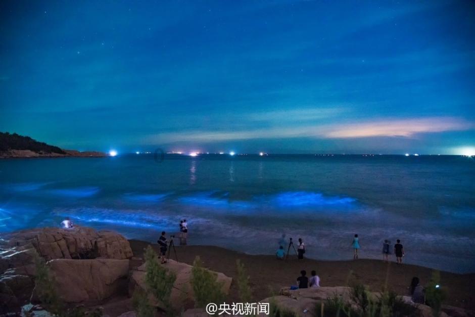 奇点灰烬