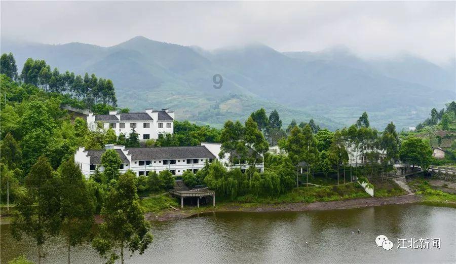 春雨直播app