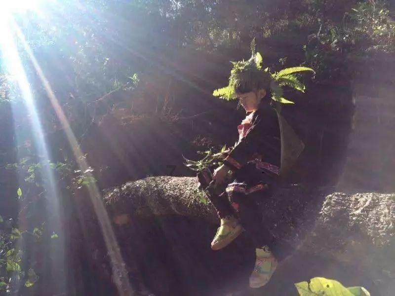 冰火人魔岛探险