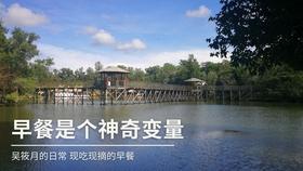 月光影视