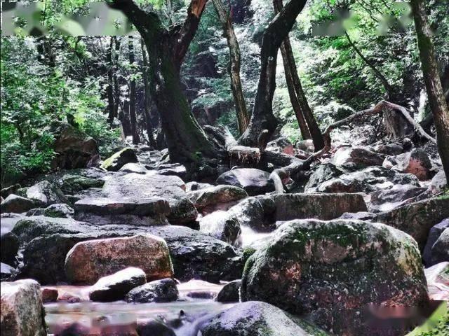 美丽乡村别墅逃生