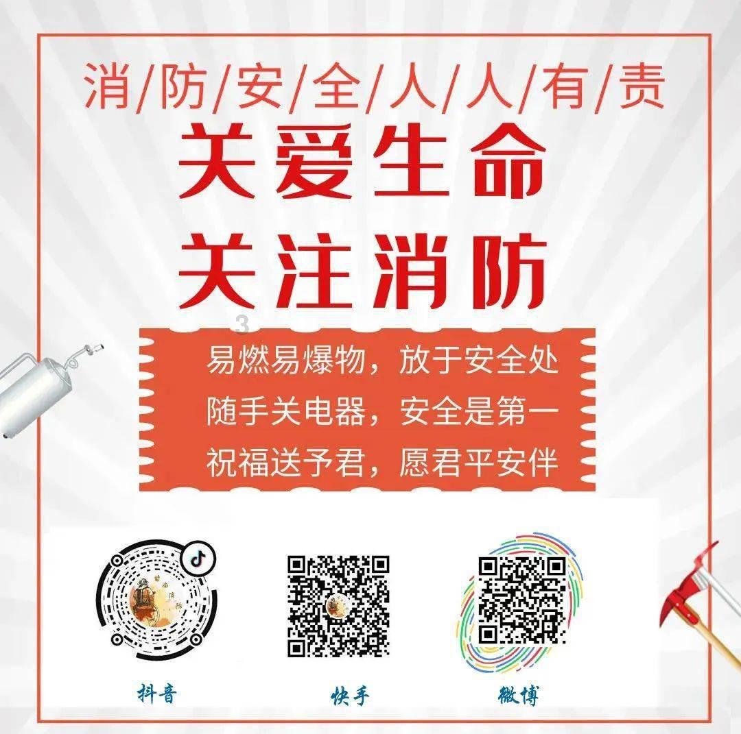 逃离森林边缘