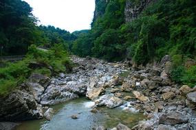 委员通道丨李树英:全面提升长春机场基础设施和旅客服务体验