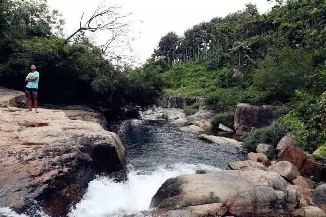僵尸敲方块