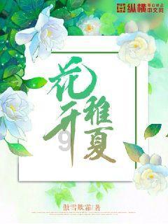 植物大战僵尸16